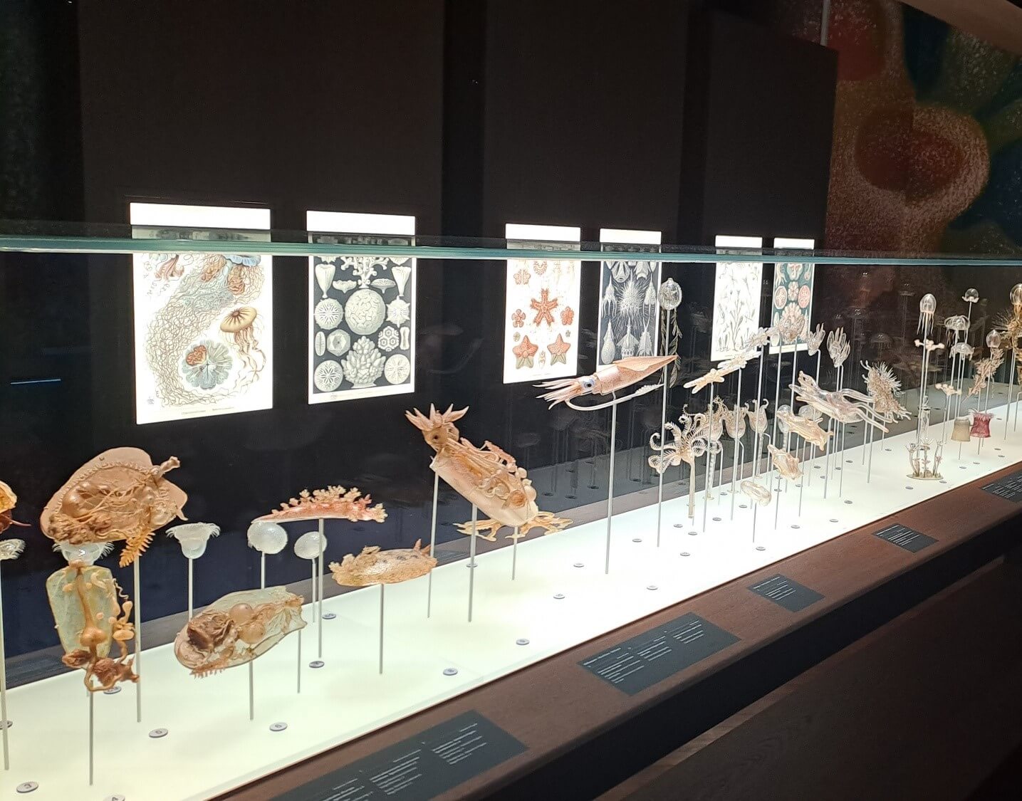 20251017 145543 resized 1